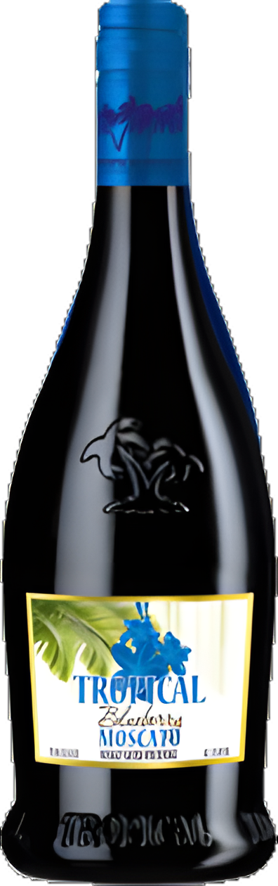 Tropical Blueberry Mos 750ml