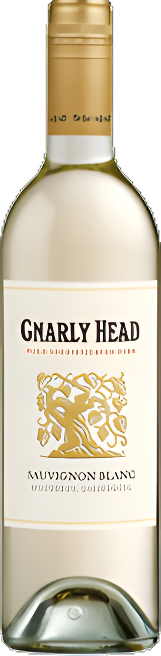 Gnarly 1924 Sauvignon Blanc 750ml