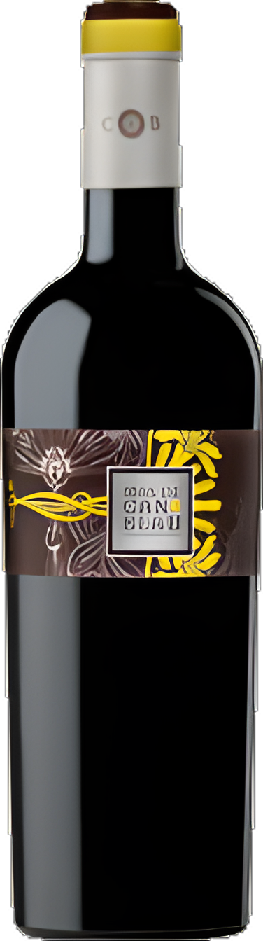 Mas de Can Blau 2015 750ml