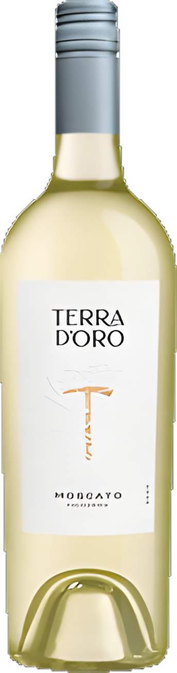 TERRA DORO MOSCATO 750ML